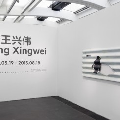 "Wang Xingwei", exhibition view, 2013 
《王兴伟》展览现场，2013