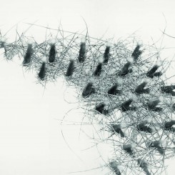Na Buqi, "Untitled, No.22," 2012, pencil on paper, 160 x 250 cm
娜布其，《无题之二十二》，2012，纸上铅笔，160 x 250 cm