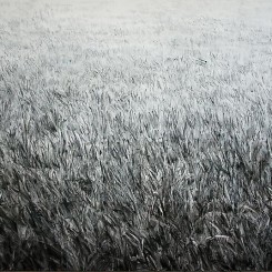 Shi Zhiying, "The Infinite Lawn,"2012, Oil on canvas, 200 x 300 cm
石至莹，《无垠的草坪》，2012，布面油画，200 x 300厘米