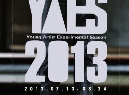 A4 gallery CD - Young artist 1st