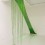 Jennifer Ng, “Pulling At Grass To Make It Grow”, elastic cord, food dye, dimensions variable, 2013Jennifer Ng，"拔苗助长"，松紧带，食用色素，可变尺寸，2013