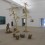 Shi Jinsong, "Double Pine Tree Garden", installation, 2012.史金淞，《双松园》，装置，2012