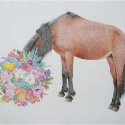 "马," 纸上彩色铅笔, "Horse,"color pencil on paper, 58x77cm, 2012