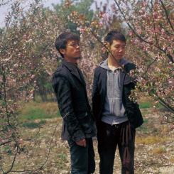 Li Xiaofei, "Song of the Burial of Flowers", audio / color / HD / PAL, 4'52'', 2010李消非，《葬花吟》，录像, PAL, 彩色, 有声, 4分52秒，2010