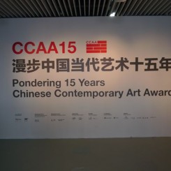 ccaa2014psa_01