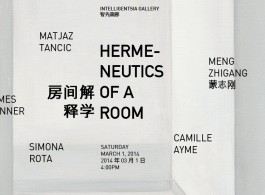 hermeneutics of a room flyer_905