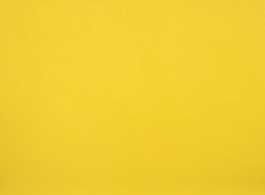 55_yellow.ants.art.lab.2014._1_qingtai.hu_170x170cm_oil.on.canvas_2013