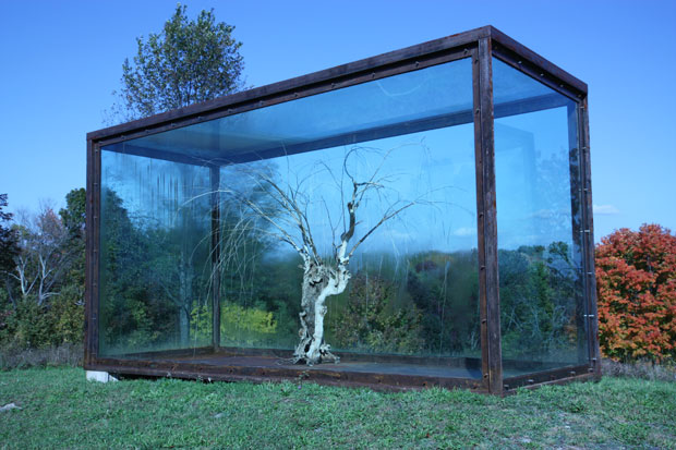 02_SJS_tree_SP_1_big