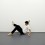 Bruce Nauman, Re-enactments of Bruce Nauman's 1968 video "Wall Floor Positions"; presented at 14 Rooms in Basel by Fondation Beyeler, Art Basel, Theater Basel in 2014