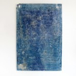 Jeremy Everett, “No Exit #5”, cyanotype, exposure, oil paint on mylar, 196 x 131cm, 2013