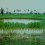 范迪•热塔那，《炸弹池塘》，数码彩色打印，96 x 111cm，2009