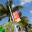 Art Basel in Miami Beach. General Impression. © Art Basel巴塞尔艺术展迈阿密海滩展会© 巴塞尔艺术展