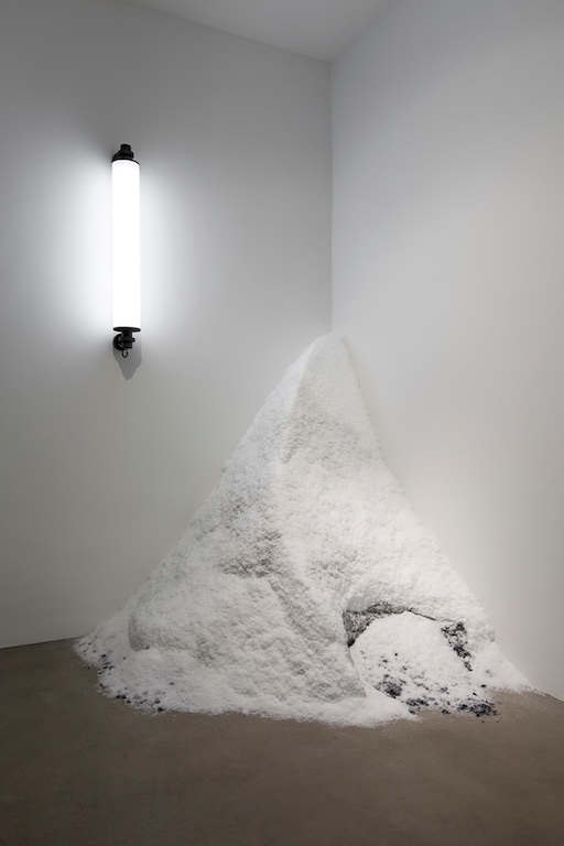 Philippe Pareno at Esther Schipper Berlin 6