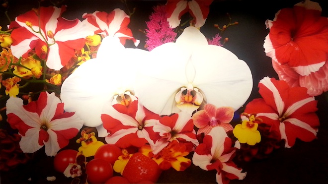 Marc Quinn, Under the Volcano, 2011, Oil on Canvas, 278.5x504.5cm
