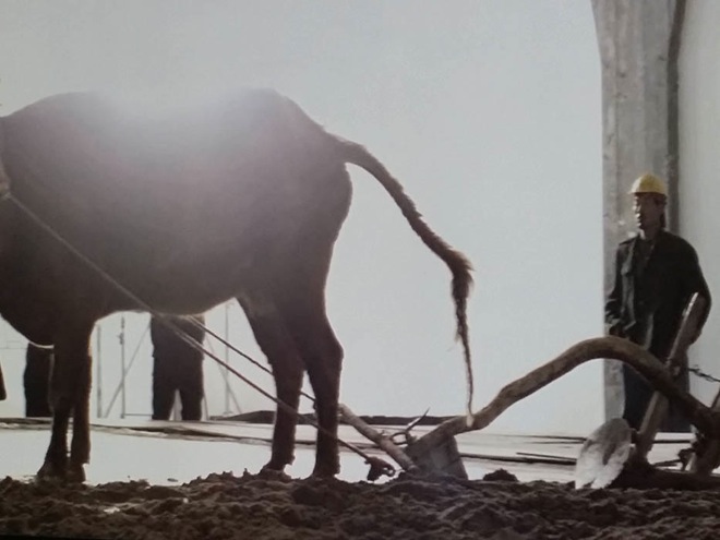 Xiao Yu, “Ground”萧昱,《地》