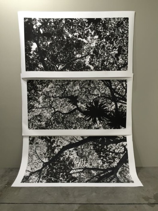 Tsai Charwei's