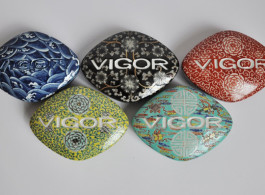 VIGOR-China 2