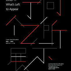 What's Left to Appear_Poster