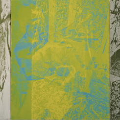 刁德谦，《双龙 》，1999，布面丙烯、丝网印刷，183 x 396.5 厘米。私人收藏。
David Diao, Twin Dragons, 1999, acrylic and silkscreen on canvas, 183 x 396.5 cm. Private Collection