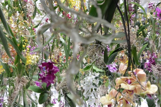 The interactive 'Floating Flower Garden’ by teamLab comprised over 2,300 fresh orchids from Holland. teamLab的互动作品“流动花园”——由来自荷兰的超过两千三百朵新鲜兰花构成