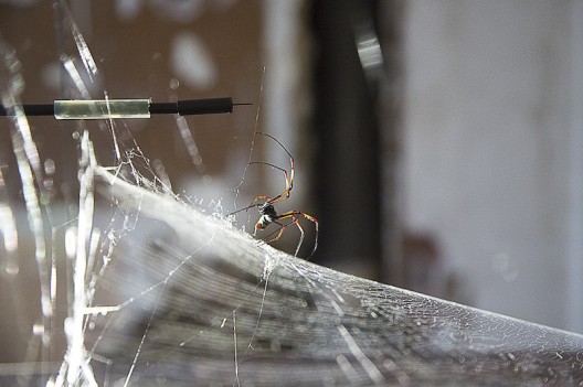 Photography by Studio Tomás Saraceno, © 2014