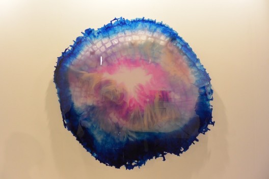 Daniel Knorr