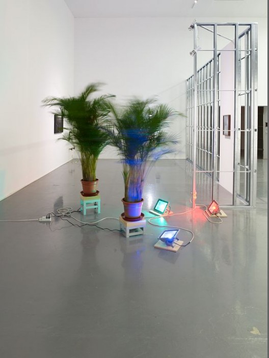 Trevor Yeung, Initial Ritual of Mr. Butterflies, Butterfly palm tree, LED light, spinner, Dimensions variable, 2015 杨沛铿，《蝴蝶先生的第一步》，蝴蝶棕榈树，LED灯，转盘，尺寸可变，2015