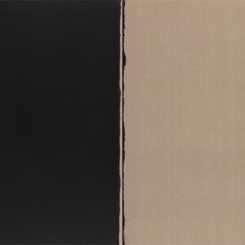 photo: Burnt Umber & Ultramarine (Diptych), 2001, oil paint on linen, each panel 145 x 89 cm.