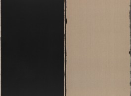 photo: Burnt Umber & Ultramarine (Diptych), 2001, oil paint on linen, each panel 145 x 89 cm.