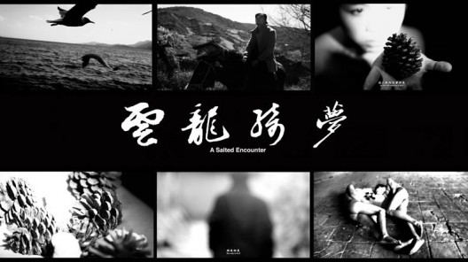 袁可如，《云龙绮梦》，三屏影像装置／黑白，15分14秒，2014 Yuan Keru, “A Salted Encounter”, Three-screen video installation, Black and white,15min14sec, 2014