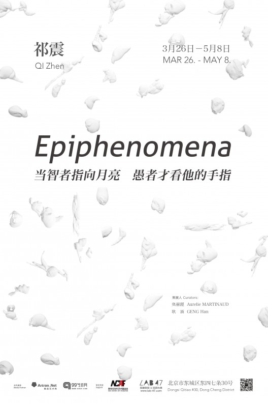 epiphenomena