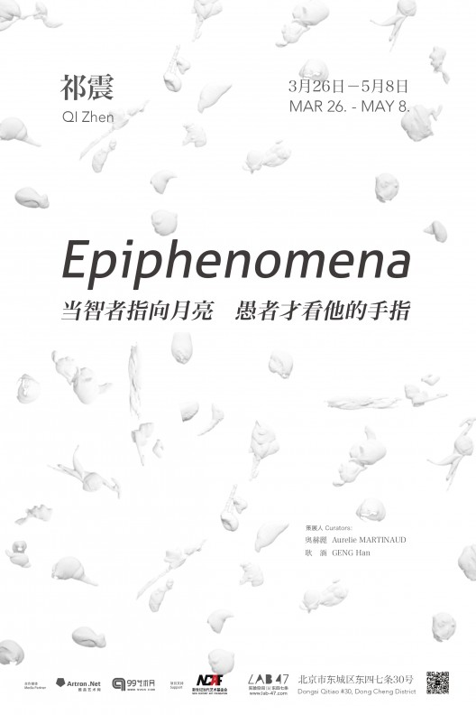 epiphenomena