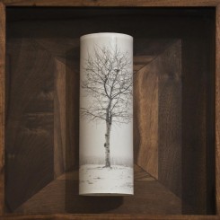 Cai Dongdong, "A Tree", silver gelatin print, 40 x 31 x 9 cm, 2014
蔡东东, “一棵树”, 明胶卤化银照片, 40 x 31 x 9 厘米, 2014