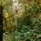 王美清，《吾林莫名（xxxiv）》，diasec工艺装裱，35 × 60 cm，2016（摄影：
Fotograffiti ［John Yuen］, Eric Tschernow和Jason Lau）/ Donna Ong, “My Forest Has No Name (xxxiv)”, diasec print, 35 × 60 cm, 2016 (photography: © Fotograffiti [John Yuen], Eric Tschernow and Jason Lau)
