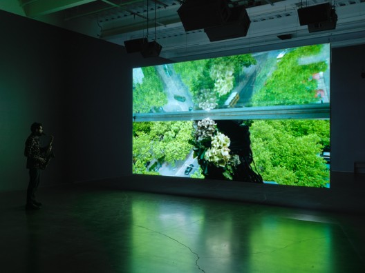 Anri Sala,