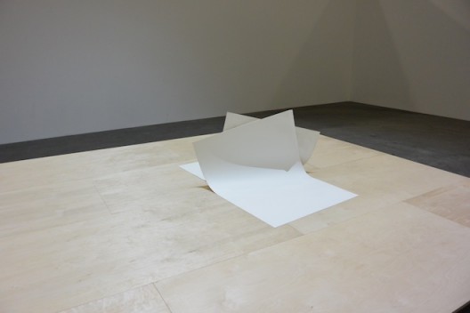 Ariel Schlesinger