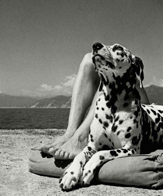 Herbert List, Portofino, 1936, Silver Gelatin Print, 12 x 16, Courtesy of Magnum Photos, London, Paris