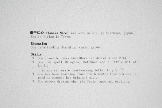 Nico-Chan’s Review, (Nico-Chan’s CV printed on clear adhesive film)