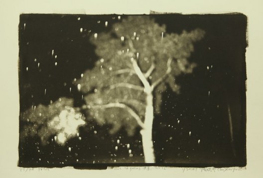 陈晓云,铂钯印相作品,20幅,尺寸不等,2016 / Chen Xiaoyun, Platinum and Palladium prints, 20 pieces with various dimensions , 2016