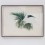 《无题（棕榈树 ）No. 2》，纸本水彩，76.5 x 56 cm，84 x 63.5 x 7 cm (带框)，2014 / Hu Yun, "Untitled (Palm No. 2)", watercolor on paper, 76.5 x 56 cm, 2014