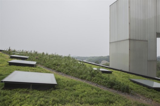 位于四方当代美术馆楼顶花园的《稊地》项目(艺术家郑波)。/ The “Weed Plot” project by Zheng Bo, located on the rooftop of the Sifang Museum.