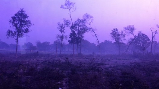 《印度火车上的风景以及脚》,1分35秒,16:9,彩色有声,2016 / Jiang Zhi , Indian Scenery Viewed on a Train, and a Foot 2016 video, color & sound 1’35