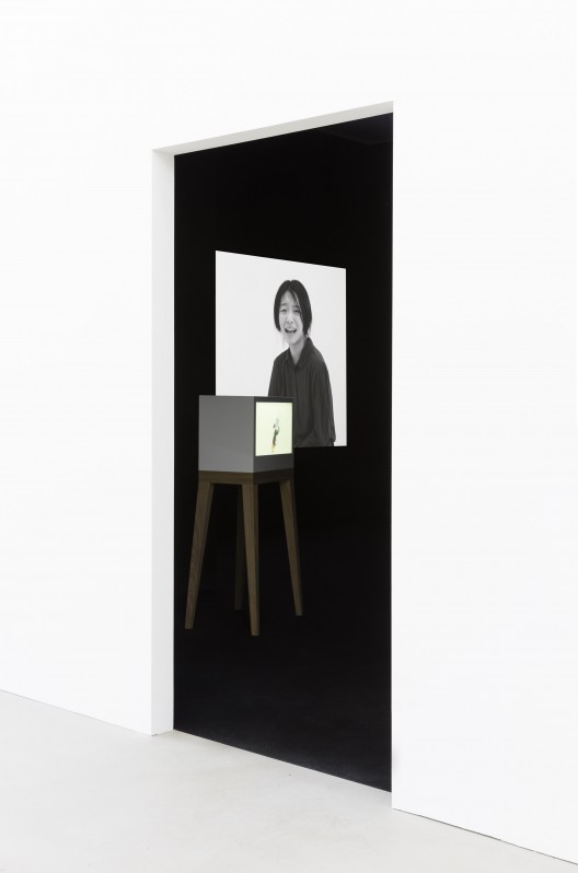 Tao Hui, “Excessive”, 2015, HD video (color, sound), glass projector, silica gel, iron, wood, 112 x 59,8 x 30 cm, duration: 19:32 min, edition of 5. (image courtesy the artist and Esther Schipper)