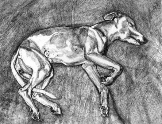 Eli, 2002, etching, edition of 46, 77 x 96 cm, Freud, Lucian (1922-2011) / © The Lucian Freud Archive / Bridgeman Images, Bacon and Freud: Graphic Works, 18 January 2017 – 25 February 2017, Marlborough Graphics, London, marlboroughlondon.com卢西恩·佛洛伊德,《伊莱》,2002,蚀刻版画,46版,77 x 96 cm © The Lucian Freud Archive / Bridgeman Images,《弗朗西斯·培根和卢西恩·佛洛伊精选平面作品展》,2017年1月18日-2月25日,马乐伯平面设计,伦敦