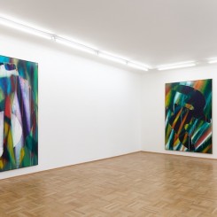 Installation view (courtesy the artist and Galerie nächst St. Stephan)
