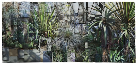 Greenhouse 2, 2017,  Archival pigment print 43 1/4 x 98 3/8 inches (110 x 250 cm), Image courtesy of Klein Sun Gallery and the artist, © Ji Zhou.