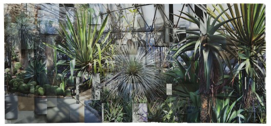 Greenhouse 2, 2017, Archival pigment print 43 1/4 x 98 3/8 inches (110 x 250 cm), Image courtesy of Klein Sun Gallery and the artist, © Ji Zhou.