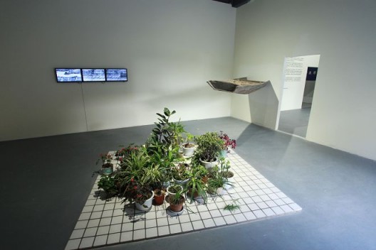 Cao Mingzhi and Chen Jianjun “Rooftop and the Wall” project, 2016 (garden, installation [materials: plants, tiles from the square, video, text) 曹明浩+陈建军「天台与墙」剧场，花园，装置（材料：植物、⼲场瓷砖、视频、⽂字），2016