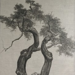 翁雪松，《古树系列16号》，综合材料 布面水墨，50×60cm，2017