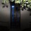 Performance view, Stefan and Sergei Tcherepnin, "Ten Tones: Inside and Outside the Major-Minor," 2017, Ming Contemporary Art Museum, Shanghai. PHOTO: Tang Chao 
表演现场，斯蒂芬·齐尓品和谢尔盖·齐尓品，“十音：在大调小调的内外”，2017，明当代美术馆。摄影：Tang Chao